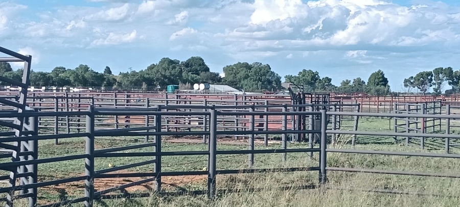 13 Bedroom Property for Sale in Bainsvlei Free State